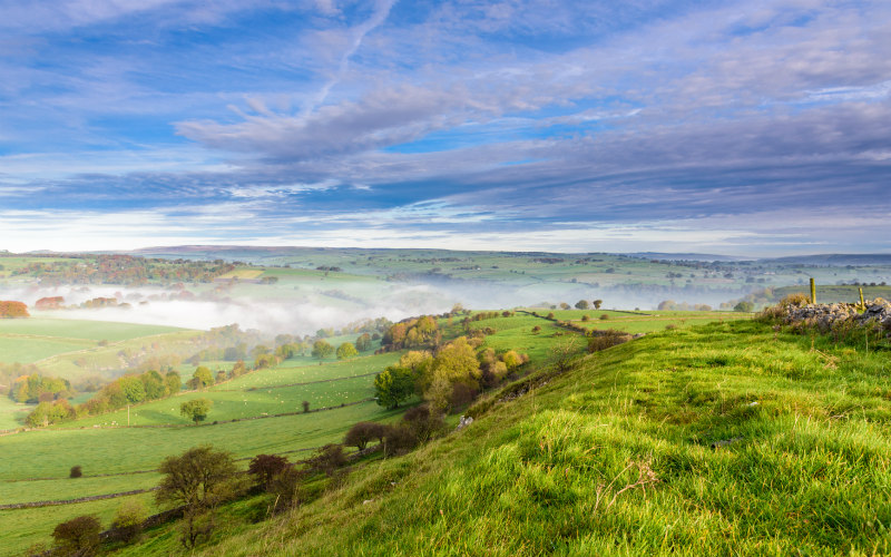 Transparency and Land Ownership Consultation