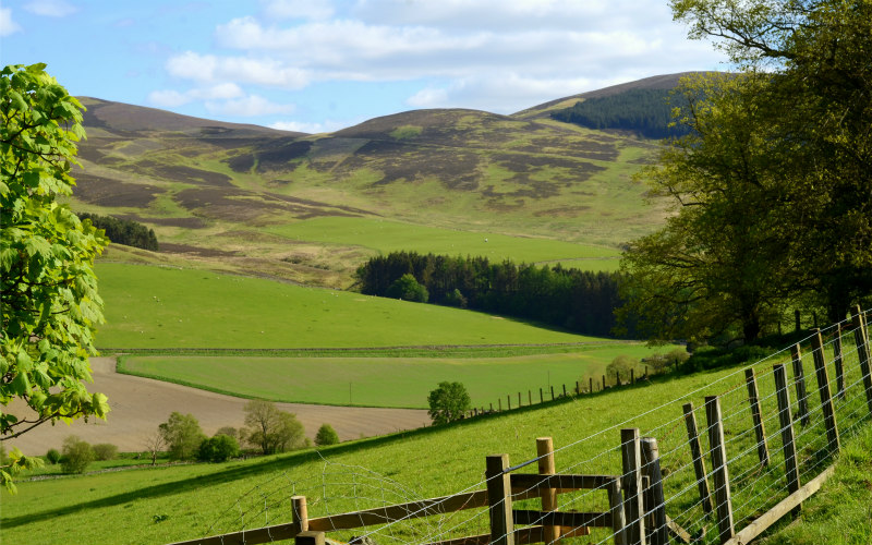 Scottish Natural Heritage Operations Requiring Consent