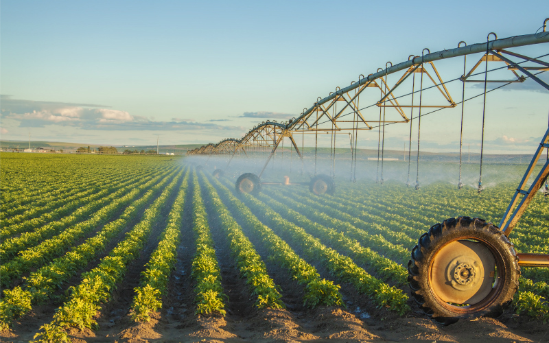 Potatoes in Peril - The Dangers of Crop Spray Drift