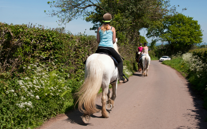 National Equestrian Safety Day - Not Just For Horse-Riders