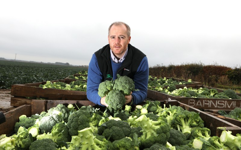 Agricultural sector merger creates growing opportunity 