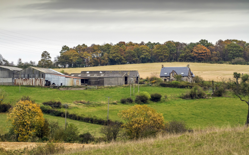 Succession of Agricultural Tenancies