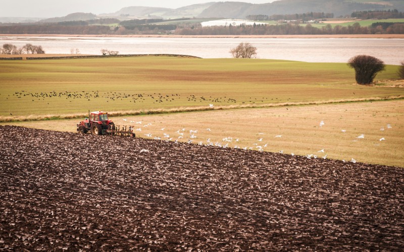 The Agriculture and Rural Communities (Scotland) Bill