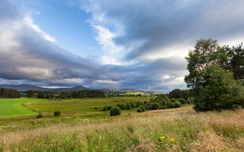 Scottish Sheep Farm of the Year Winner Announced at AgriScot