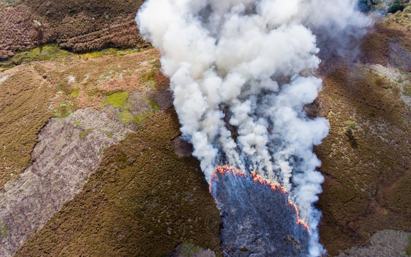 Don’t get your fingers burned: follow the Muirburn Code