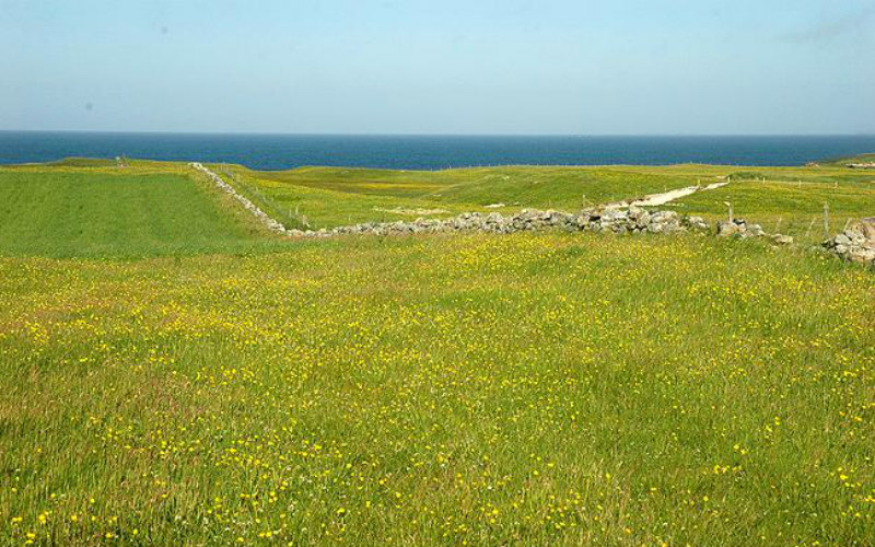 Land Reform (Scotland) Bill passed.