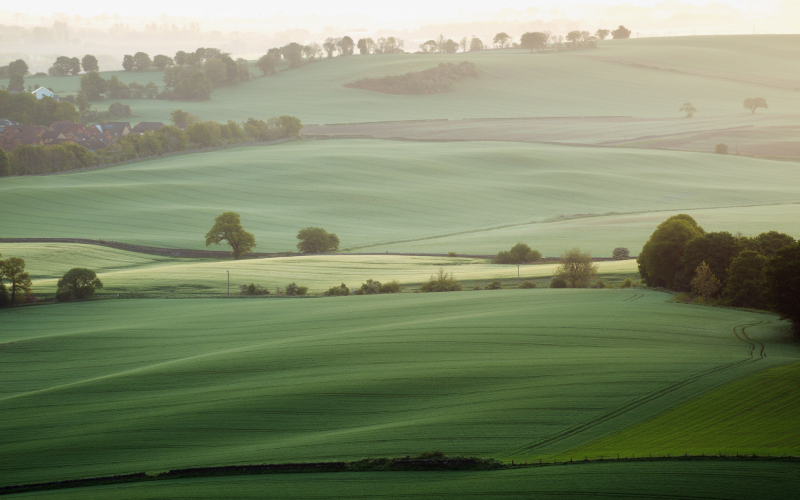 Register of Controlled Interests in Land: How will it work?