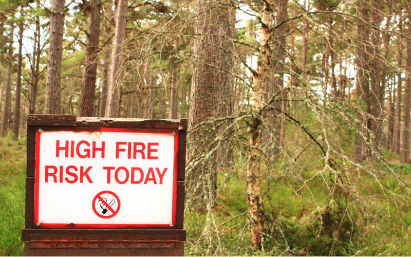 Summer Safety: Wildfires and the Scottish Outdoor Access Code