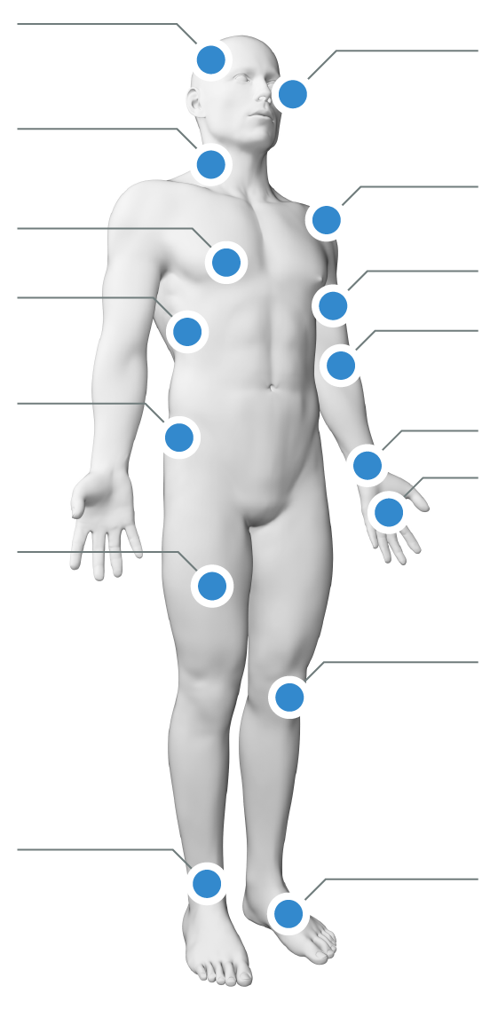 Human body diagram